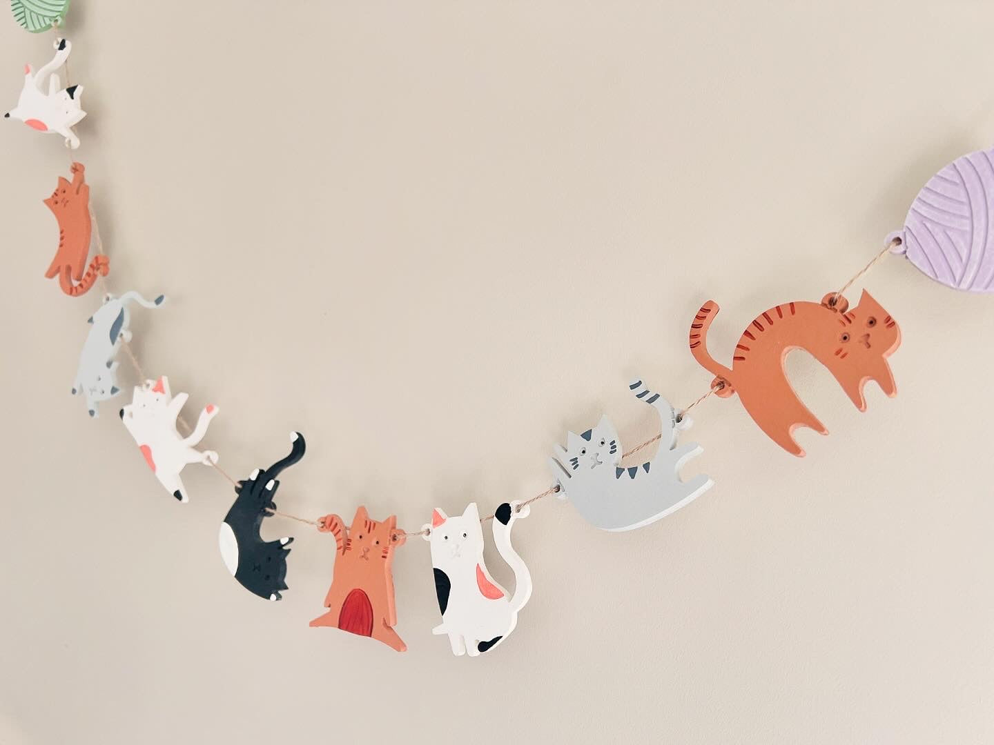Crazy cat garland, paint your own diy craft
